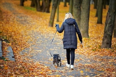 shutterstock_2543409271-slider-2